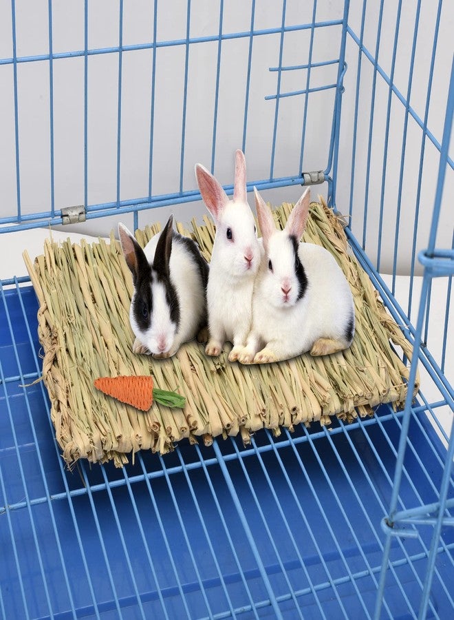 S SANGLE SOPFFY Grass mat for Rabbit Bunny Sangle Sopffy 6 Pcs,Rabbit Hay Mat,Small Animal Cages Hay Mat,Rabbit Grass Mat,Nesting and Toys for Guinea Pig Parrot Rabbit Bunny Hamster Chinchilla Squirrel - Image 5